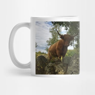 Scottish Highland Cattle Cow 2070 Mug